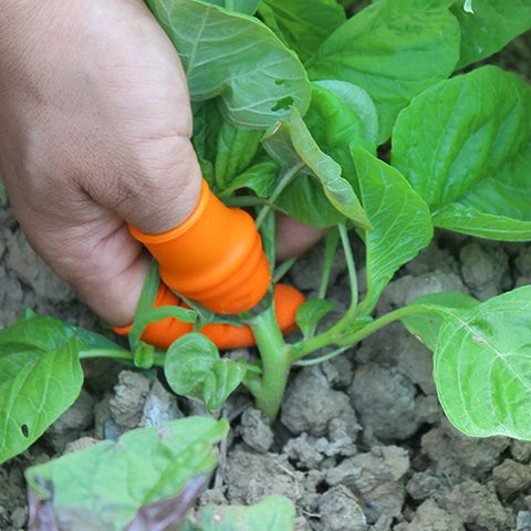 Thumb Knife - Improve Center