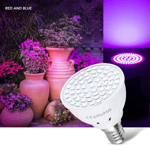 220V LED Grow Lamp - Improve Center