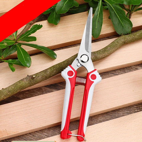 Garden Scissors - Improve Center