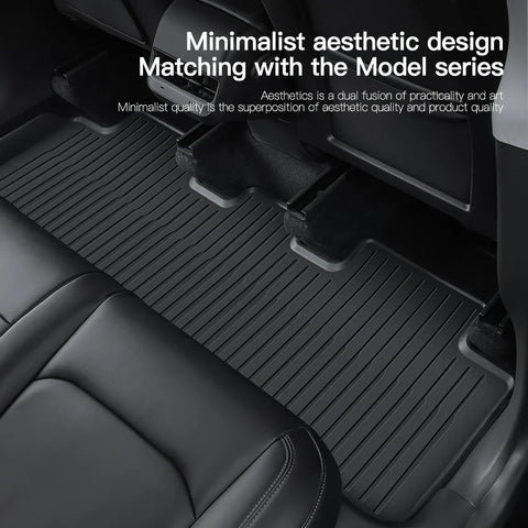 Tesla Floor Mat