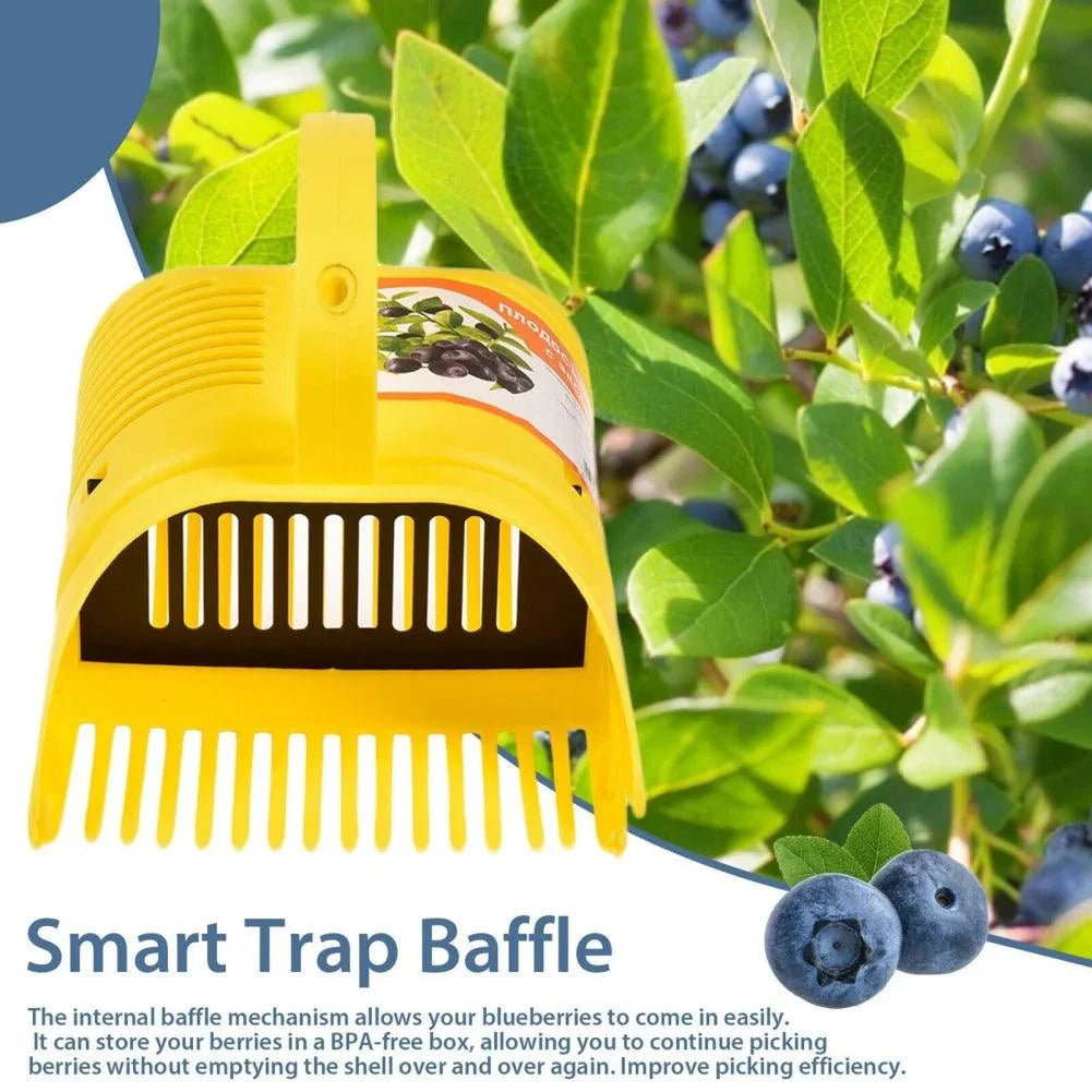 Blueberry Picker - Improve Center