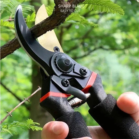Sharp Hand Pruners - Improve Center
