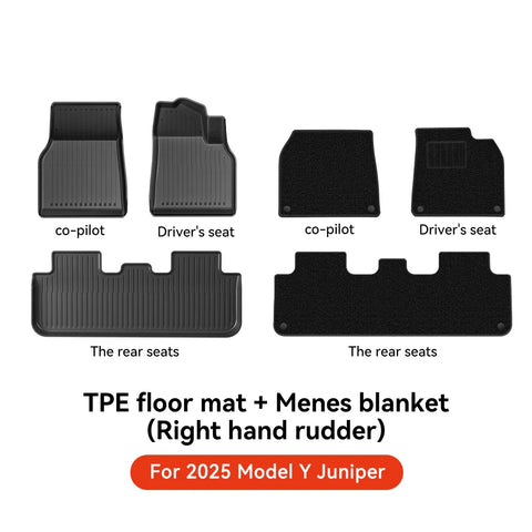 Tesla Floor Mat