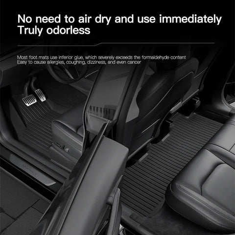 Tesla Floor Mat
