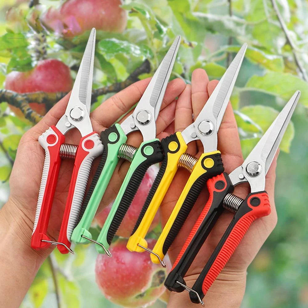 Garden Scissors - Improve Center