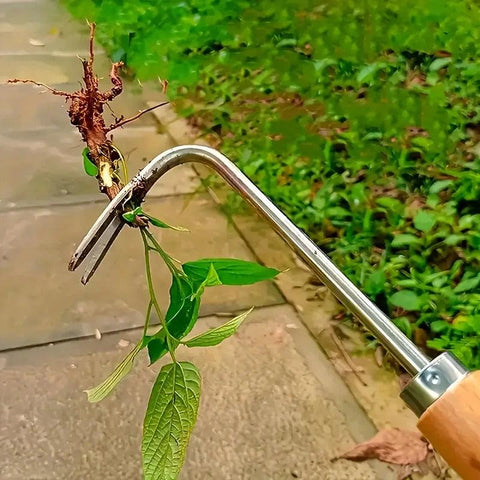 Manual Weed Puller - Improve Center
