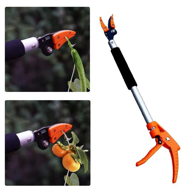 Tree Pruning Shears - Improve Center