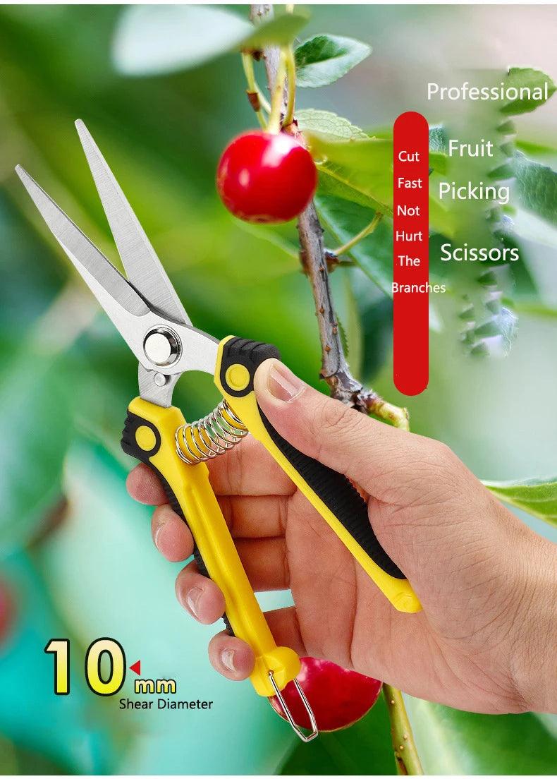 Garden Scissors - Improve Center