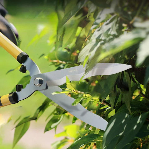 Gardening Scissors - Improve Center