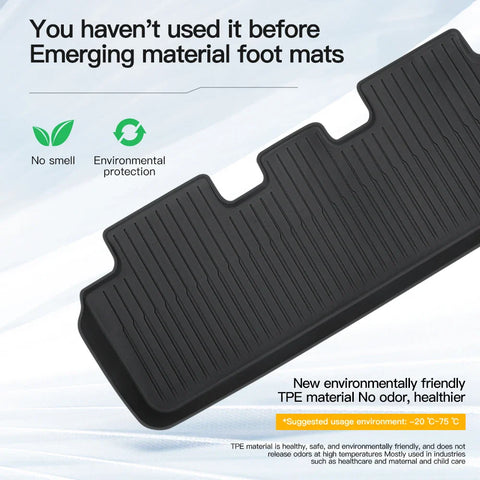 Tesla Floor Mat