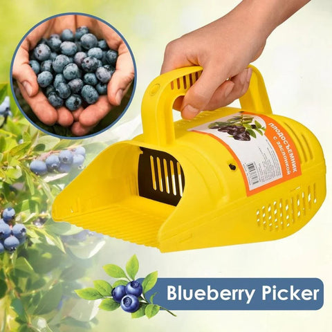 Blueberry Picker - Improve Center