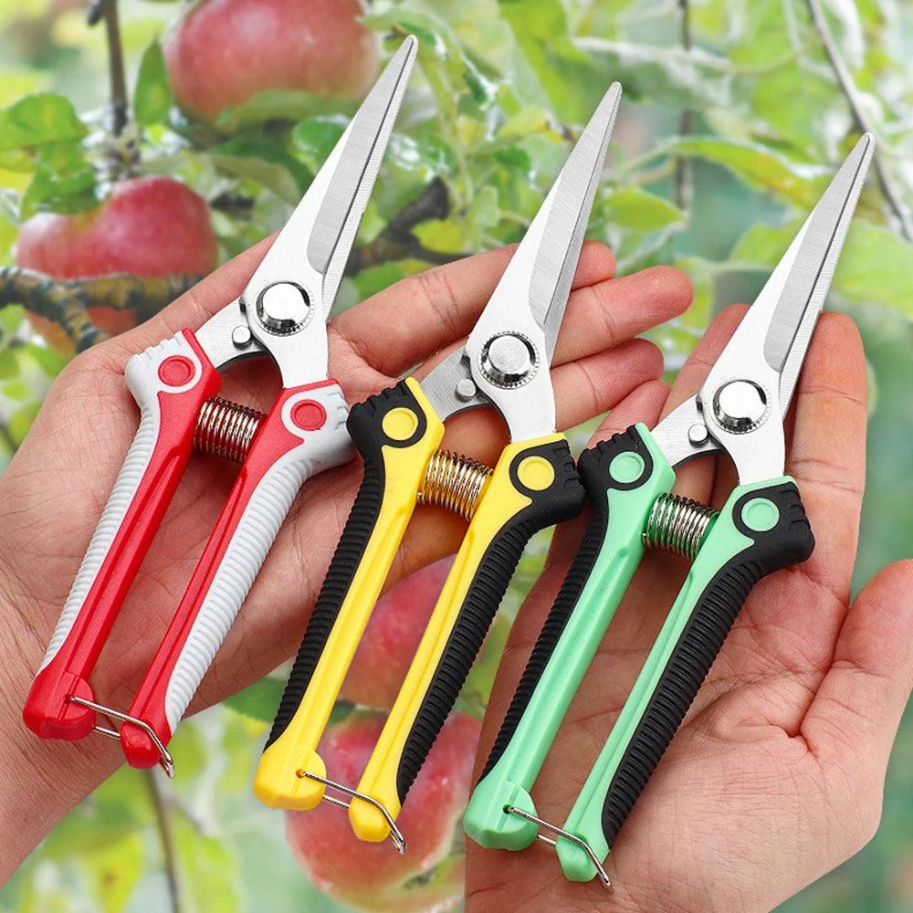 Garden Scissors - Improve Center