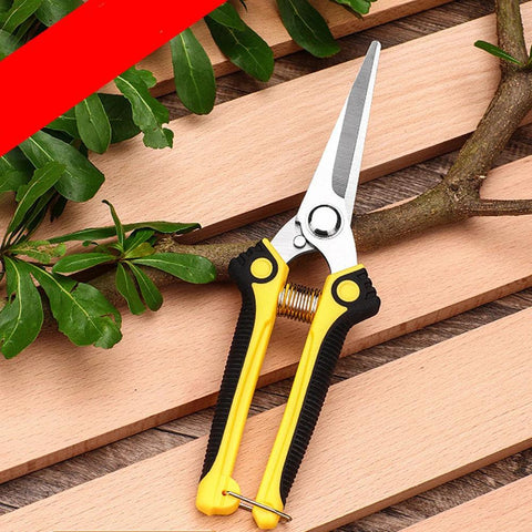 Garden Scissors - Improve Center