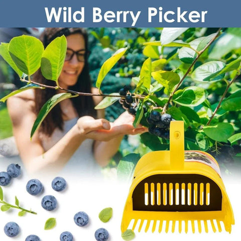 Blueberry Picker - Improve Center