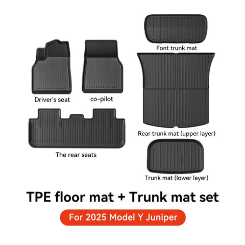 Tesla Floor Mat
