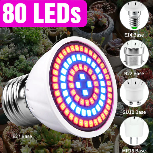 220V LED Grow Lamp - Improve Center