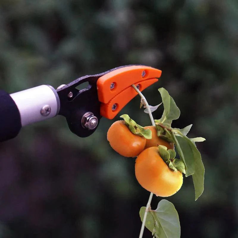 Tree Pruning Shears - Improve Center