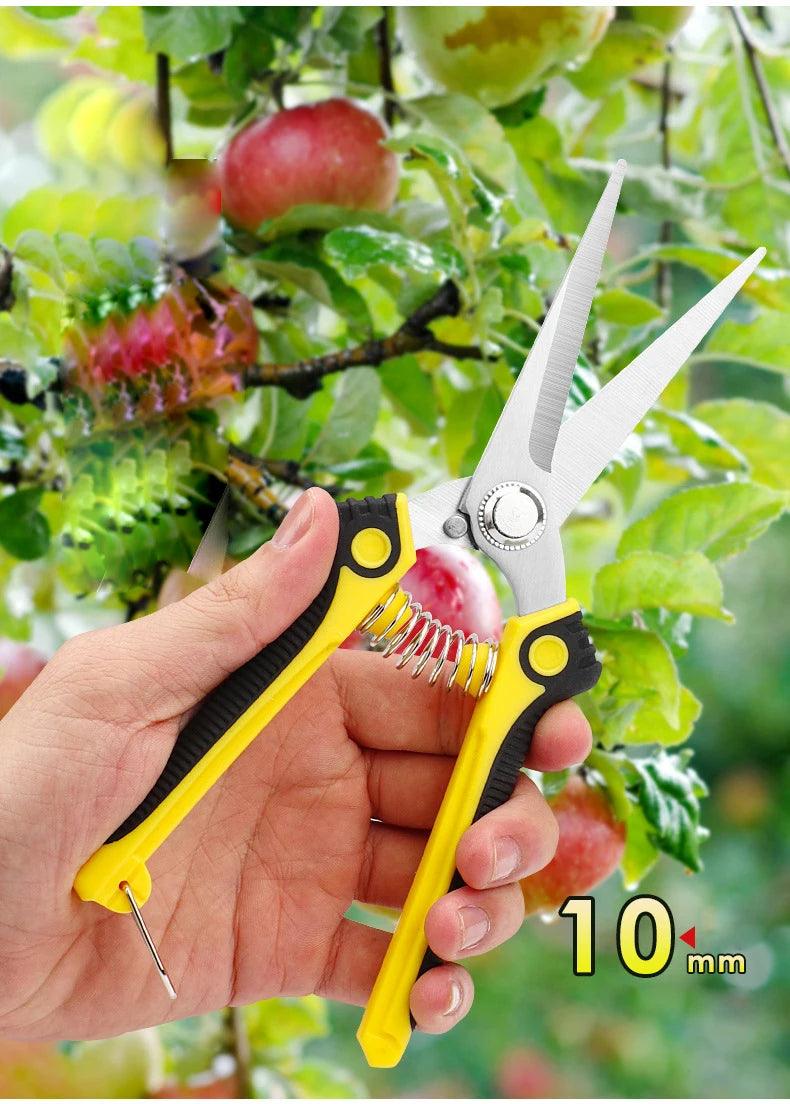 Garden Scissors - Improve Center