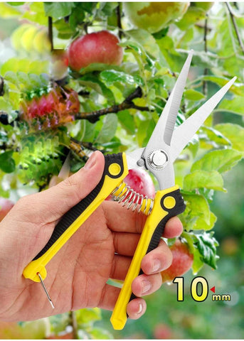 Garden Scissors - Improve Center