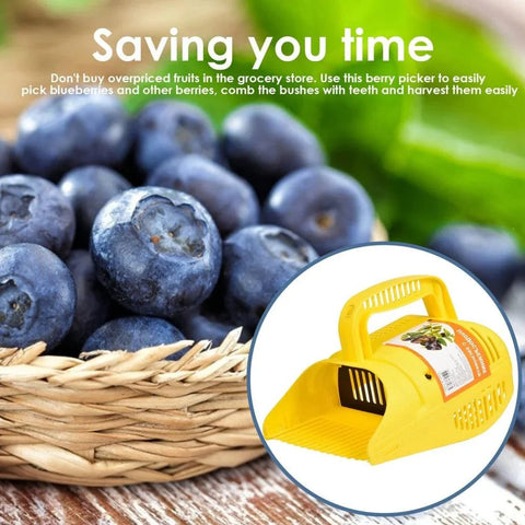 Blueberry Picker - Improve Center