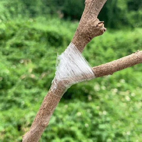 Grafting Tape - Improve Center