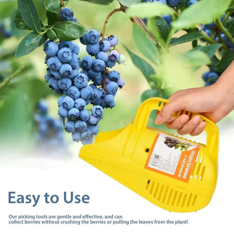 Blueberry Picker - Improve Center